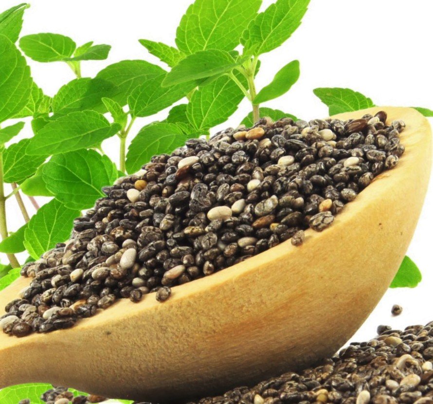 BioFriendly 1 has been listed for use in seed treatment in the organic seed sector in Europe